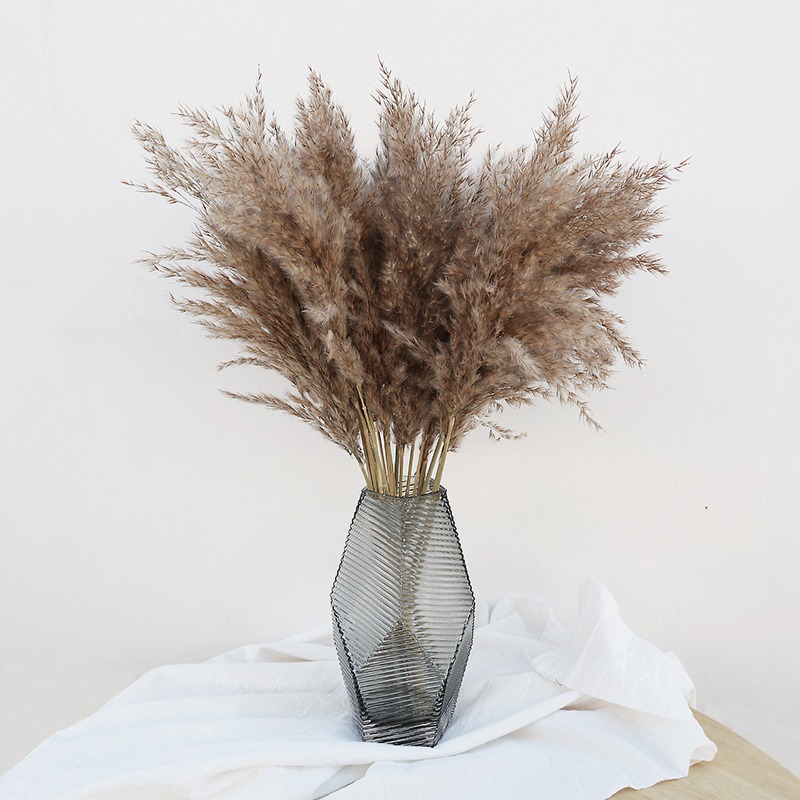 Florist Supply Vases - 10 stuks kleurrijke natuurlijke rietplanten pampasgras