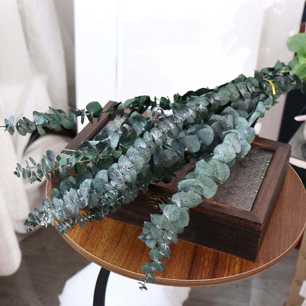 10 stuks echte bladeren hangen - Eucalyptus Preserved recensie en prijs