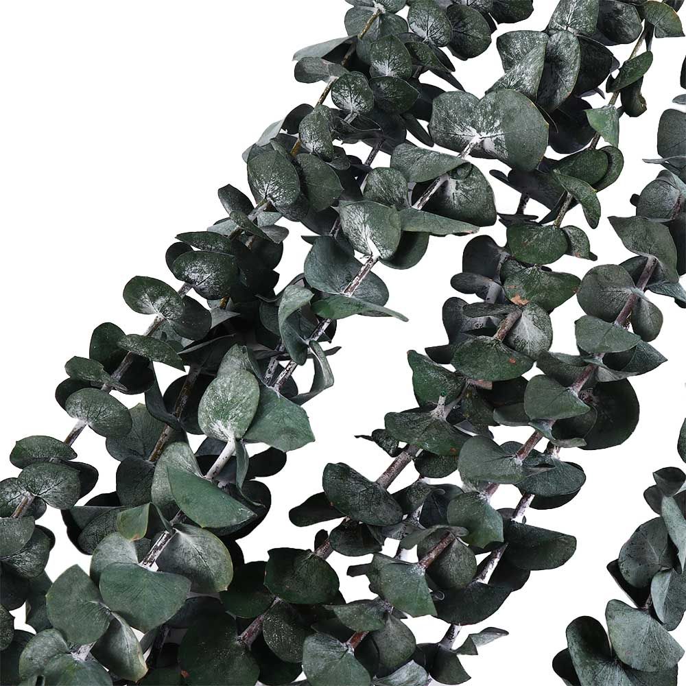 10 stuks echte bladeren hangen - Eucalyptus Preserved recensie en prijs