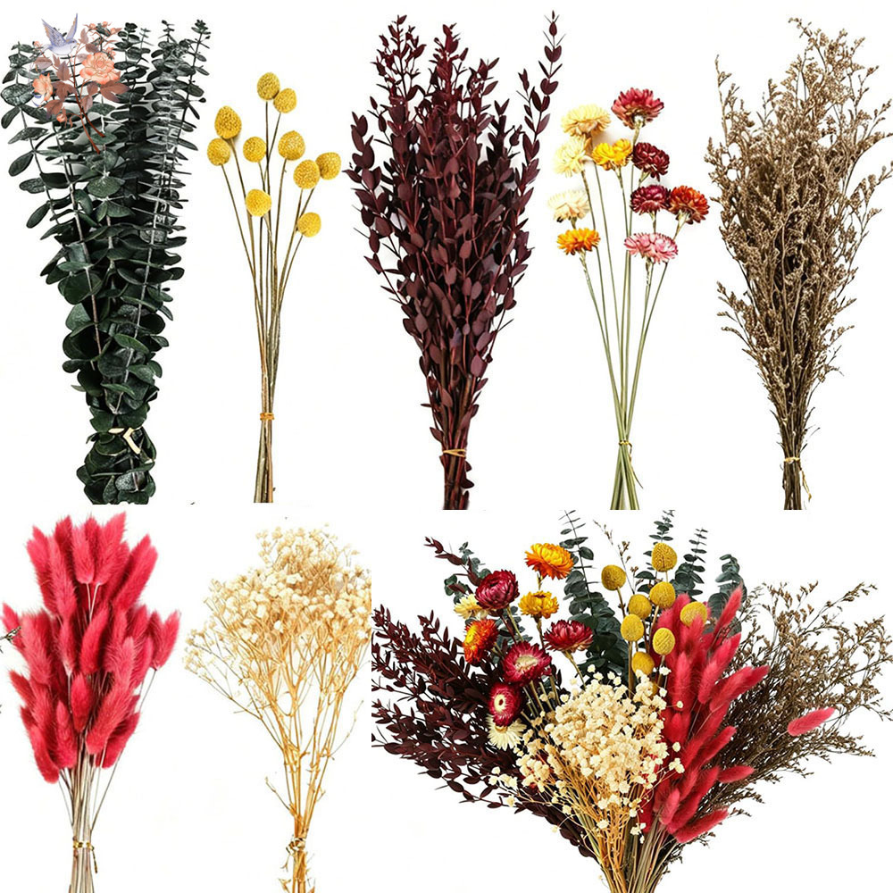Gedroogde bloemen, grootverpak - Florist Flower Supply recensie en prijs