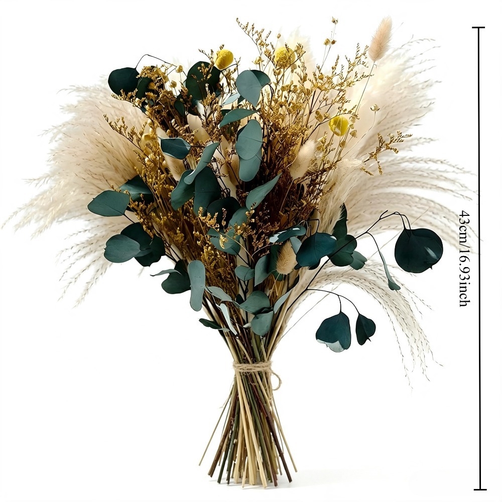 Natuurlijk gedroogd pampasgras - Eucalyptus Preserved recensie en prijs