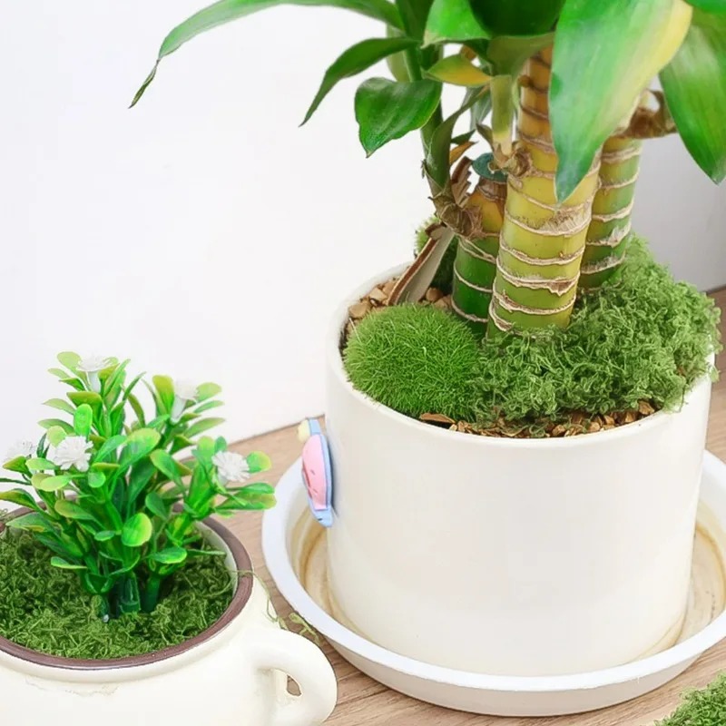 30/300G Kunstmatig Realistisch - Preserved Moss Sheet recensie en prijs