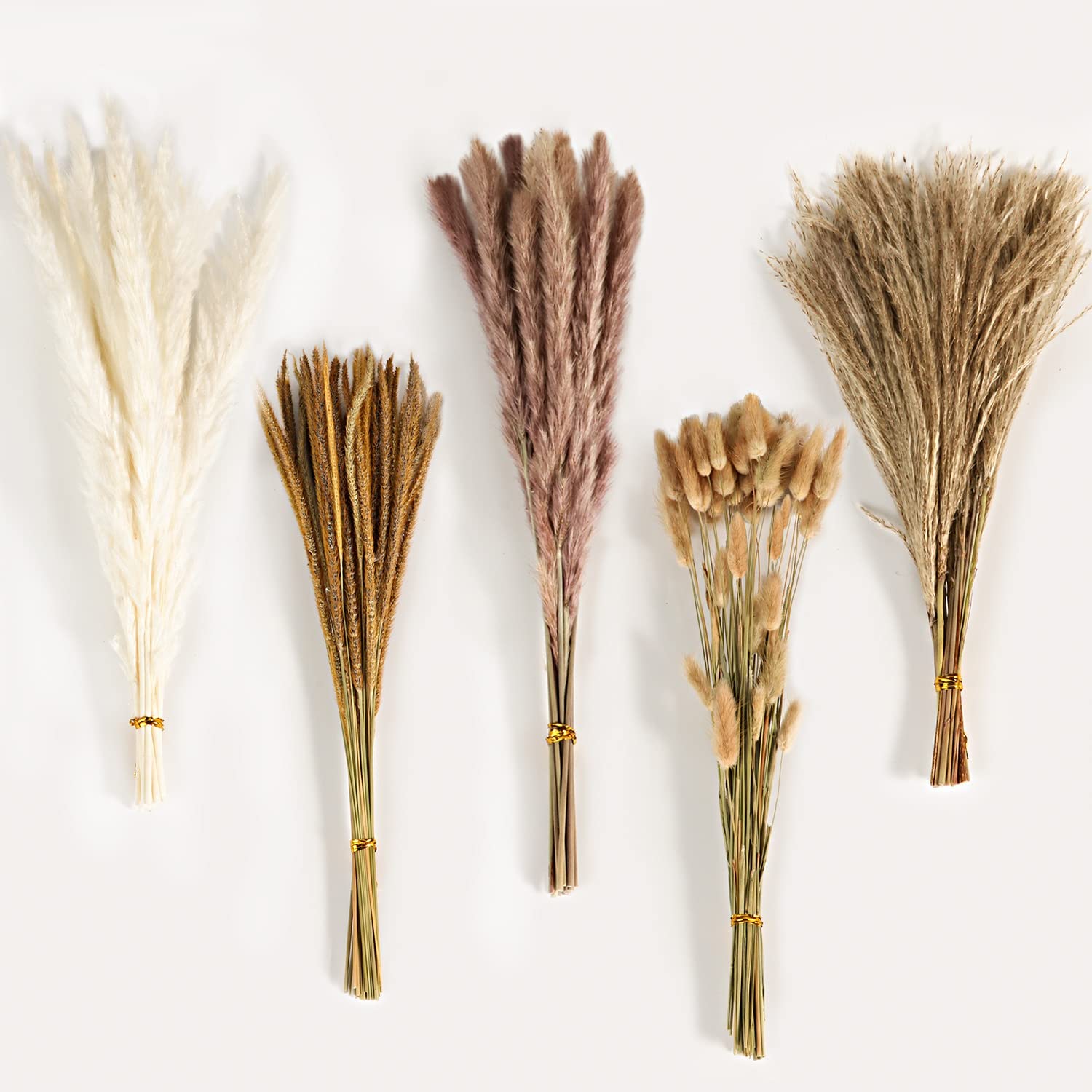 Herfst Vintage Gemengd Gedroog - Eucalyptus Preserved recensie en prijs